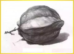素描静物临摹高清大图分享