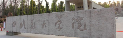 学美术去四川美术学院怎么样？怎么选择学院？
