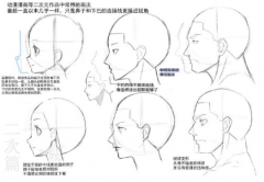 漫画人物侧脸的画法有哪些？怎么画侧脸？