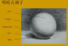 素描静物的明暗五调子是什么？怎么画五调子？