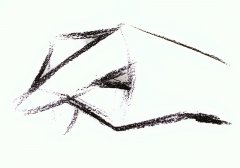 美术素描基础的知识有哪些？有哪些书籍？