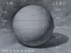 素描明暗五调子的排列顺序是咋样的？