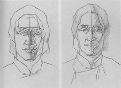 速写人物头部的比例关系是怎样的？