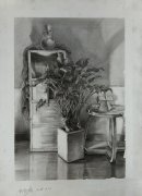 美术素描画面整体意识和结构意识有哪些区别？