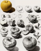 美术素描静物苹果绘画步骤