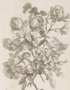 玫瑰花瓣素描步骤教程，新手素描技巧