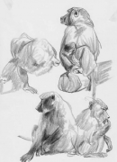 艺考生速写快速提分方法技巧，这些你掌握了吗？